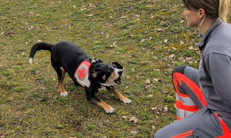 Rettungshundestaffel sorgt f&uuml;r aufregenden Start der Passauer Fr&uuml;hlingsaussstellung 2026