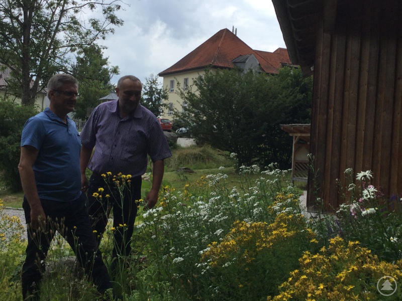 So sieht eine bienenfreundliche Wiese aus. Franz Rothkopf erklärt MdL Alexander Muthmann die verschiedenen Blumen und Gräser.