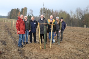 Bäume für Ausgleichsflächen Baugebiet Thann
