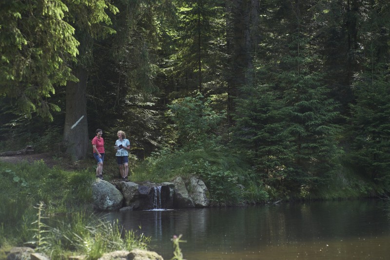 Zwei Frauen stehen an einem idyllischen Waldbach mit kleinem Wasserfall, umgeben von dichtem Nadelwald. Die Szene wirkt ruhig und naturverbunden.