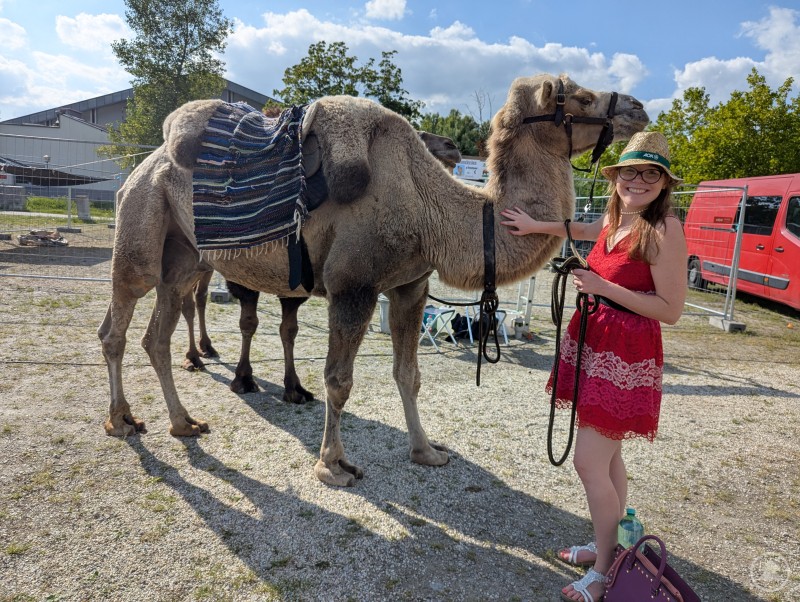 Unsere Autorin auf Tuchfühlung mit einem der Kamele Lächelnde Frau streichelt Kamel