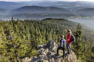 Bayerischer Wald ist bekanntester Nationalpark Deutschlands