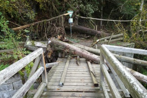 Stadt sichert Ilztalwanderweg und beseitigt freiwillig Sturmschäden auf Nachbargemeindegebiet