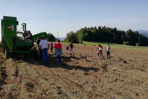 „Kartoffelsamstag“ am Erlebnisbauernhof Zeintl