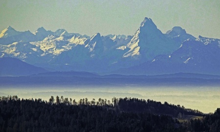 Milder Januarausklang