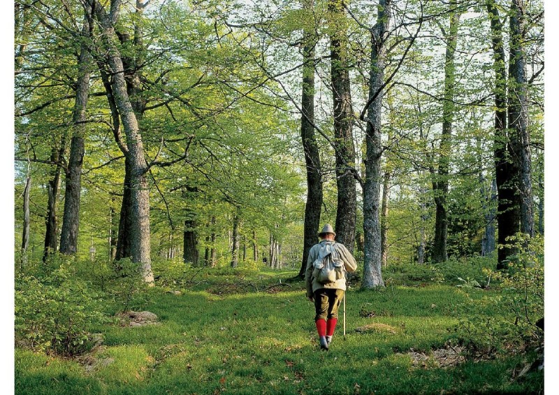 Flyer/Grafik zum Event: Vatertagswanderung am Do., 14.05.2026 von 09:00 bis 17:00 Uhr