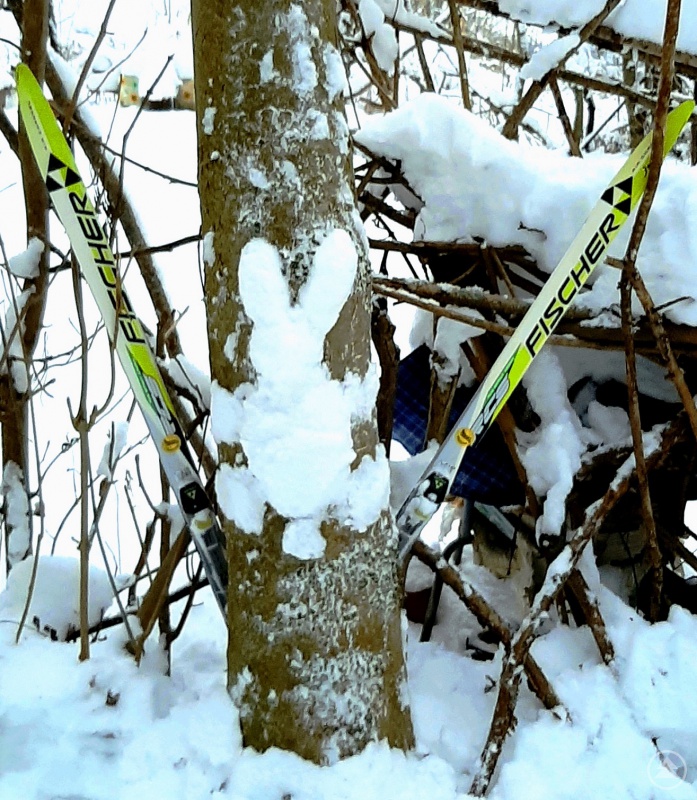 Lukas´ Hase hatte einen Skiunfall