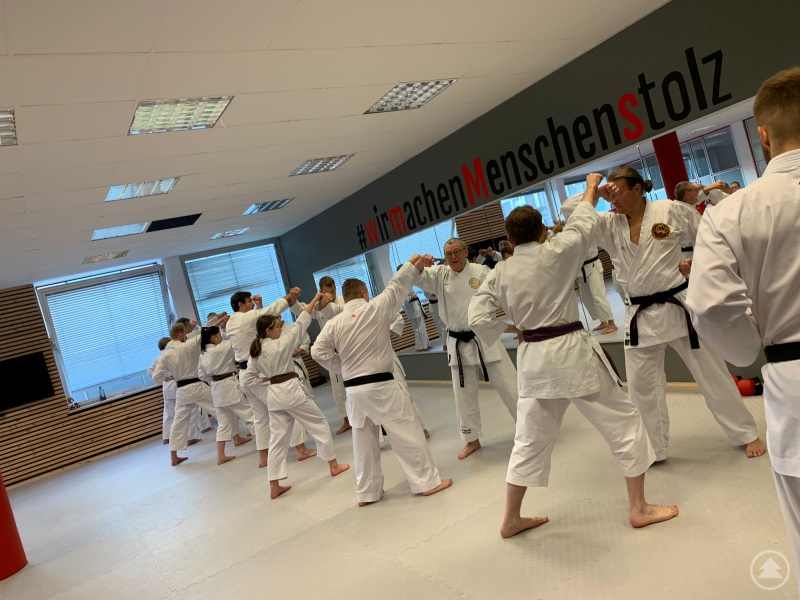 Partner-Übung „alte Okinawa-Kata“