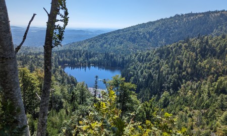 Tradition und Moderne: Wie ländliche Regionen ihre Identität in der digitalen Ära bewahren