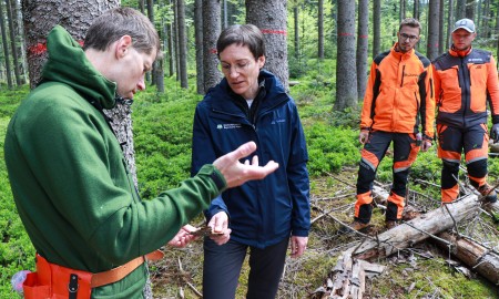 Nationalpark startet in die Borkenkäfer-Saison 2025