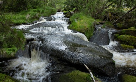 Bayerwald-Frühjahrswetter 2025