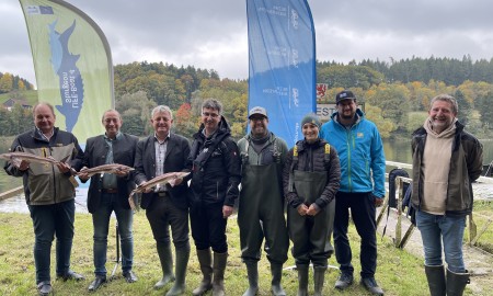 Bezirk Niederbayern setzt fast 1000 junge Sterlets in die Donau aus