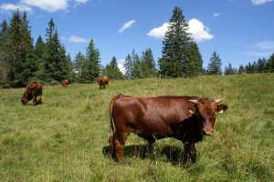 Video-Rundgang durch das Servicezentrum Falkenstein