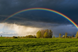 Ärztlicher Direktor erkrankt an akuter Leukämie