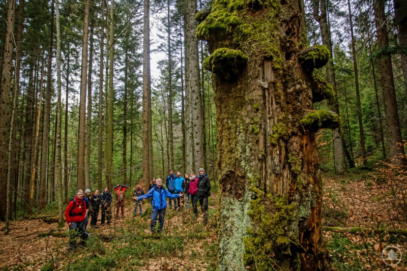 Ein großer Teil des Einführungsseminars bestand aus Outdoor-Aktivitäten rund ums Thema Umweltbildung – wie hier mit Nationalparkmitarbeiter Lukas Laux.