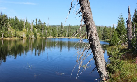 Zur Reschbachklause und auf den Siebensteinkopf