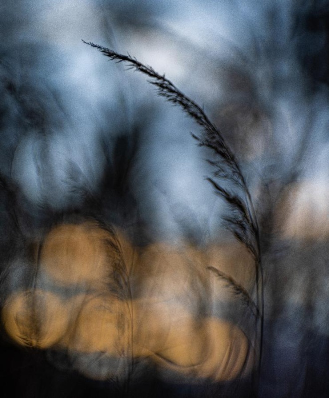 Flyer/Grafik zum Event: Zweiter Blick - Fotoausstellung von Benjamin Pauli am Mo., 25.03.2024 - Do., 12.09.2024