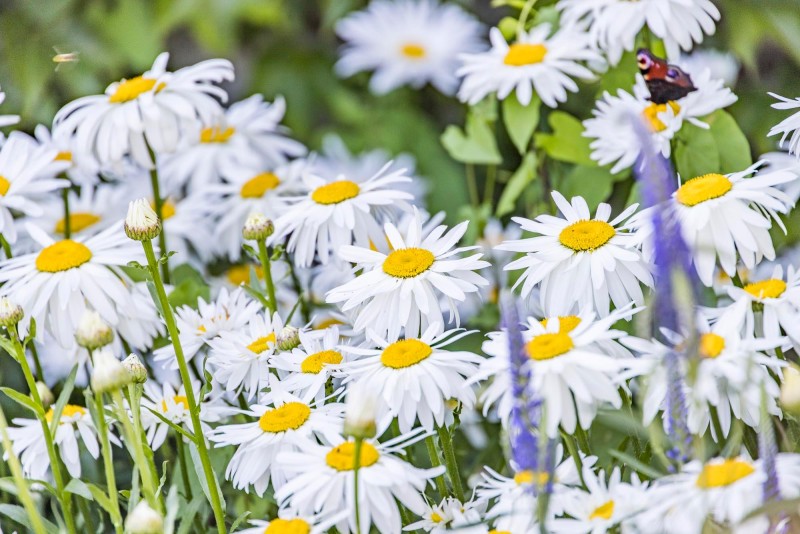 Flyer/Grafik zum Event: Kurs: Eine kleine Auszeit für mich am Sa., 25.04.2026 von 10:00 bis 13:00 Uhr