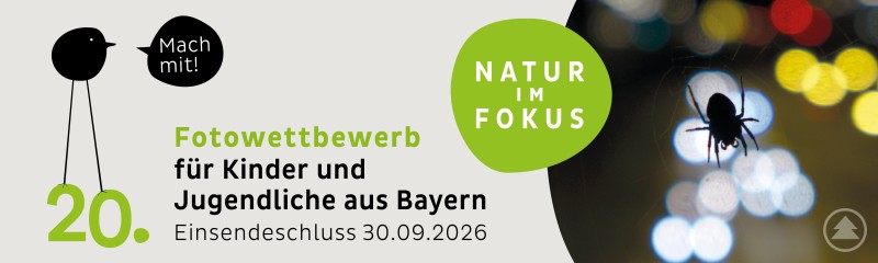 Fotowettbewerb Natur im Fokus ruft Kinder und Jugendliche aus Bayern zur Teilnahme auf. Grafischer Banner mit einer Spinne vor unscharfem Hintergrund und dem Aufruf zur Teilnahme am Fotowettbewerb Natur im Fokus.