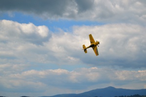 Heimat-Verein: Modellflugclub Hohenau