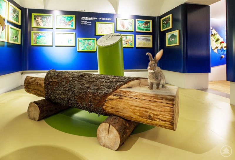 Der Osterhase zu Besuch in der Galerie im Schloss Wolfstein.