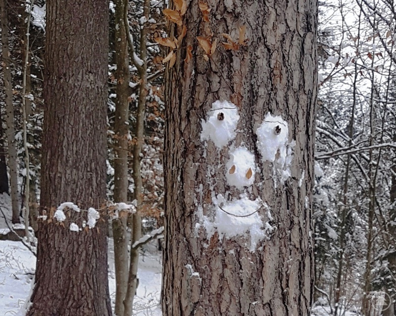 Victorias Baumgesicht strahlt Güte aus