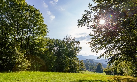 Bayerische Landesgartenschau 2023 in Freyung : 100 Tage bis zum Start
