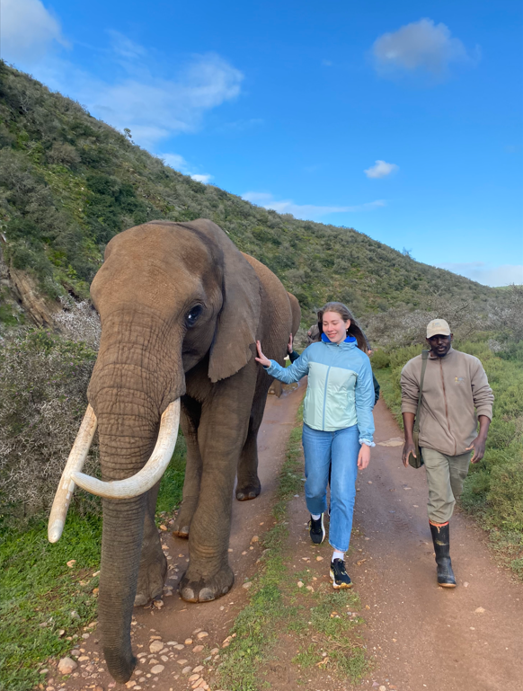 Der Besuch des Addo Elephant Park war ein Highlight für Natalie Wallstabe, die über das STEP-Austauschprogramm sechs Wochen bei einer Gastfamilie in Südafrika verbracht hat. Foto: Natalie Wallstabe