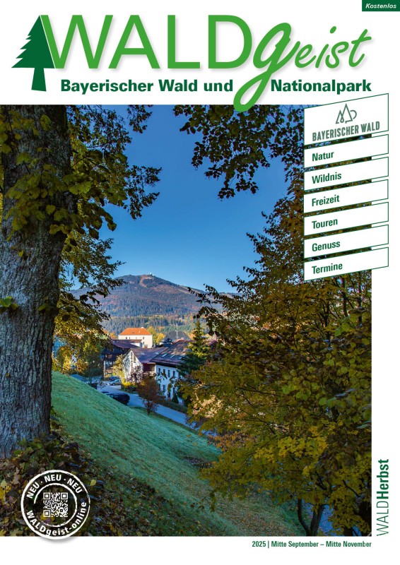 Das WALDgeist-Magazin ist nun auch als interaktives ePaper online verfügbar. Titelbild des WALDgeist-Magazins mit Blick auf eine Ortschaft vor bewaldeten Bergen im Bayerischen Wald.