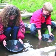 Goldwaschen in St. Oswald-Riedlhütte