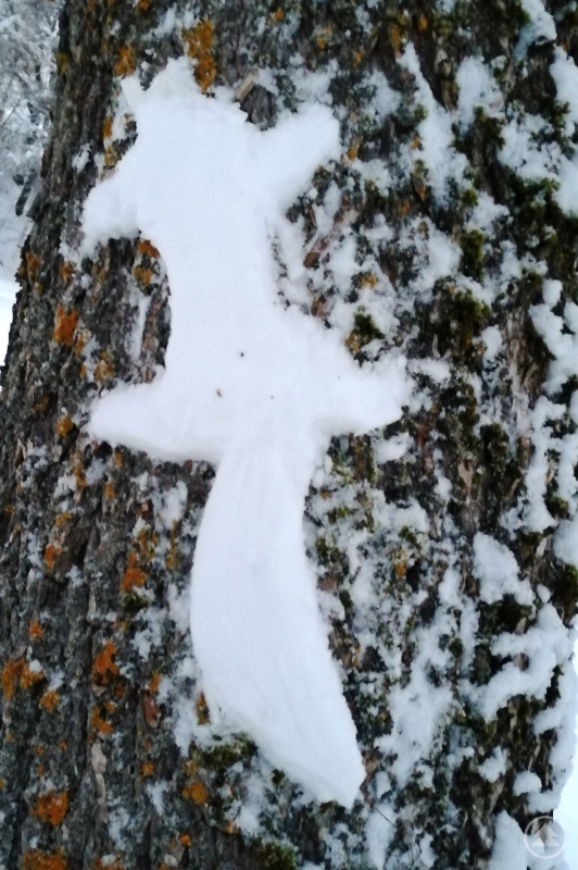 Uli fand ein Eichkatzl