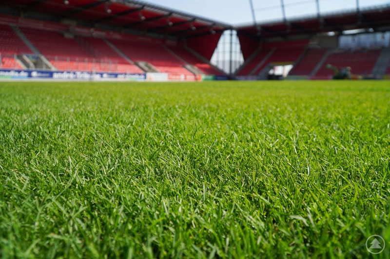 Nahaufnahme des Rasens im Fußballstadion mit leeren Tribünen im Hintergrund.