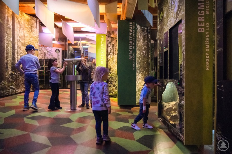 Das Waldgeschichtliche Museum St. Oswald bleibt durchgängig geöffnet. Kinder erkunden spielerisch eine interaktive Ausstellung im Nationalpark Bayerischer Wald. Verschiedene Themeninseln und Installationen laden zum Entdecken und Mitmachen ein.