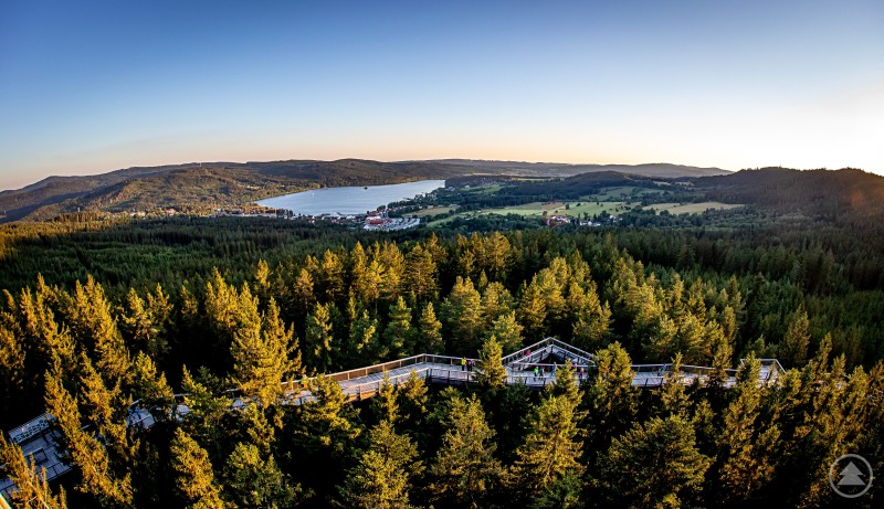 Luftaufnahme des Baumwipfelpfads im Bayerischen Wald mit Blick auf See und Berge im Hintergrund.