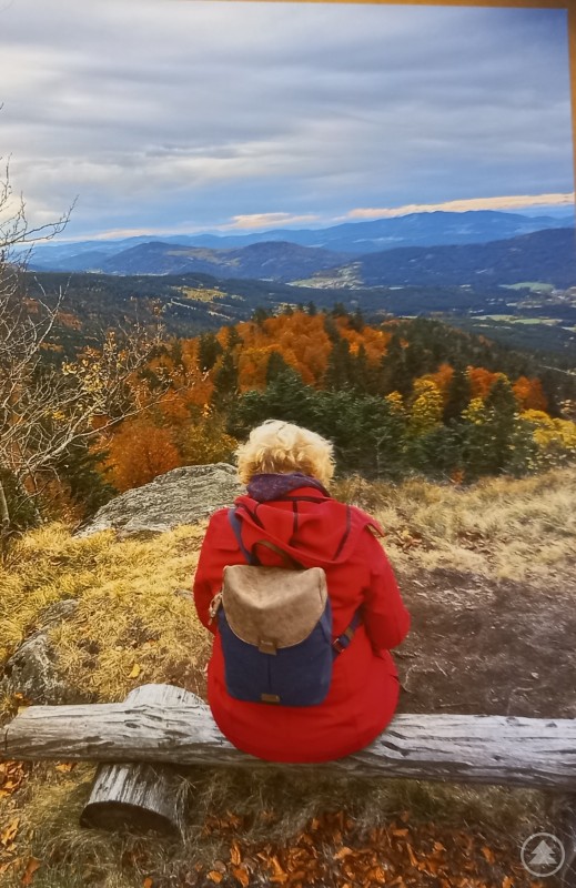 Rosi steht in ihrer Freizeit gerne auch mal Rosi sitzt mit einer roten Jacke und Wanderrucksack vor einer tollen Aussicht auf die Berge.