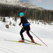 Langlauf - Loipenvergnügen Grafenau