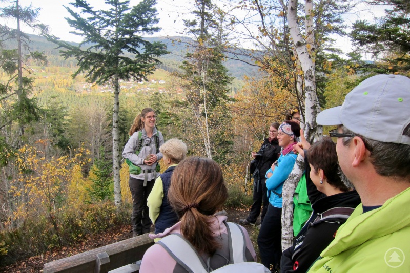 Praktische Übung: Teilnehmerin Floreana Miesen erklärt den geologischen Bau des Bayerischen Waldes.