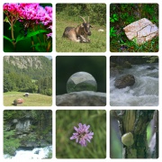 BuidlMane c/o Manfred Zieringer, Hobbyfotograf als Leidenschaft