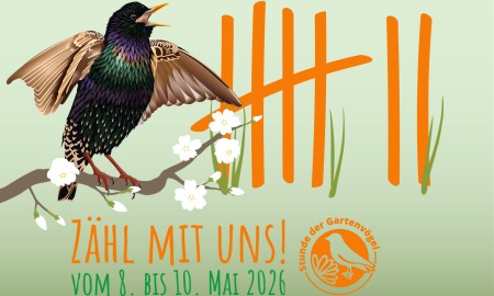 Stunde der Gartenv&ouml;gel: LBV ruft zum Mitmachen auf