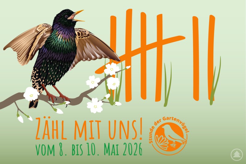 Der LBV ruft gemeinsam mit dem NABU zur „Stunde der Gartenvögel“ vom 8. bis 10. Mai 2026 auf. Eine grafische Illustration zeigt einen Star auf einem blühenden Ast mit dem Schriftzug zur Aktion „Stunde der Gartenvögel“ vom 8. bis 10. Mai 2026.