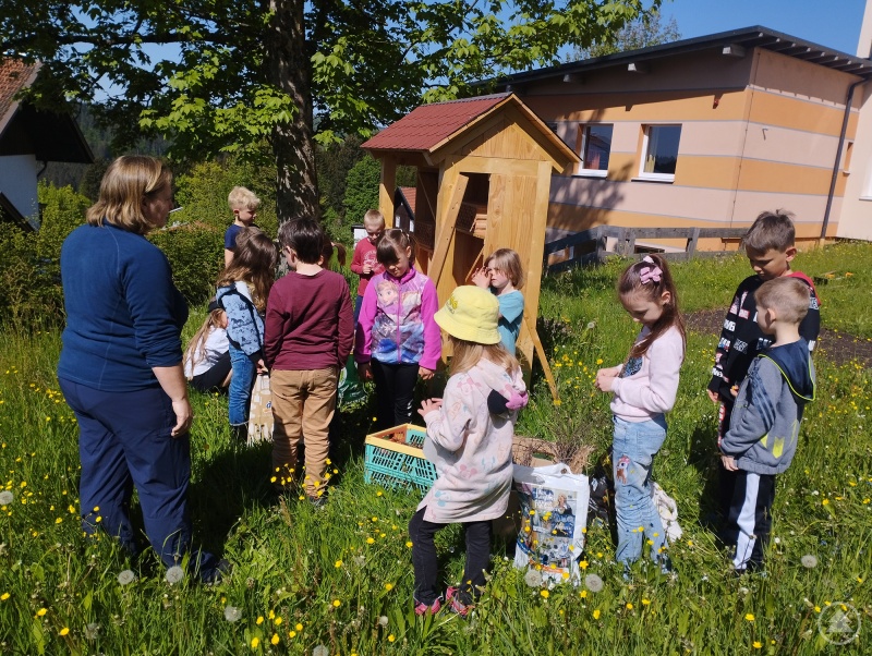 Zusammen mit der Nationalpark-Mitarbeiterin Nicole Graf-Kilger (l.) füllten die Kinder der Grundschule Mauth das Insektenhotel mit Zweigen und Schilf.
