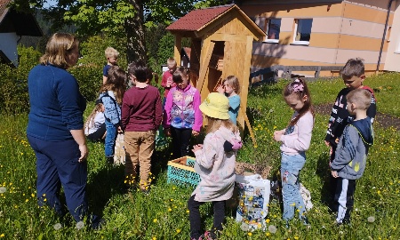 Eine Oase für Biene, Hummel und Co