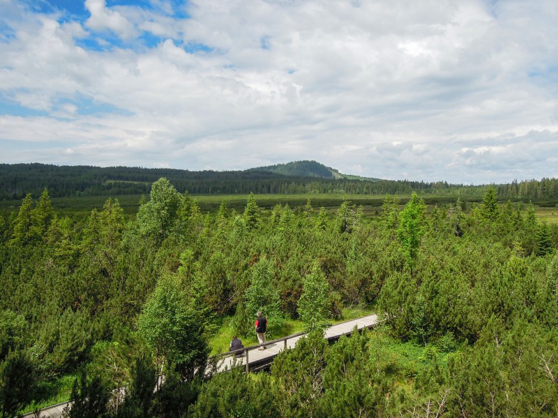 Flyer/Grafik zum Event: Land und Leute im Böhmerwald – Grenzüberschreitende Wanderung 2025 am So., 17.08.2025 ab 10:00 Uhr
