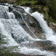 Waidla Bua