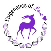 Epigenetics of Love