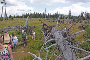 Jugendliche aus drei Ländern helfen dem Moor