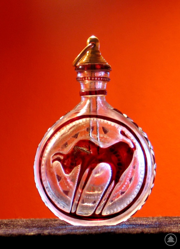 Gravur eines Bixls von Michael Schreiner.