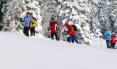 Flyer/Grafik zum Event: Schneeschuhwanderung in Mauth-Finsterau am Do., 19.02.2015 von 13:30 bis 16:00 Uhr