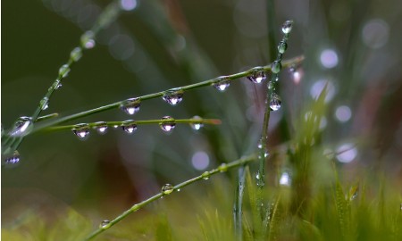 Septemberwetter 2024