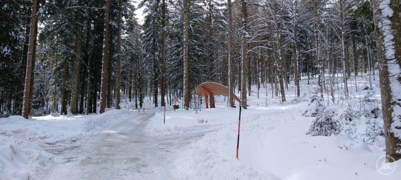 Schnee auf dem Blätterdach der Rusel bei vorbildlich geräumten und gestreuten Wegen: Der Naturfriedhof im Bayerischen Wald präsentiert sich jederzeit besuchsbereit. Ein verschneiter Waldweg führt durch hohe Bäume. Rechts steht eine moderne, hölzerne Überdachung, während der Schnee auf den Ästen glitzert. Die winterliche Landschaft wirkt ruhig und einladend.